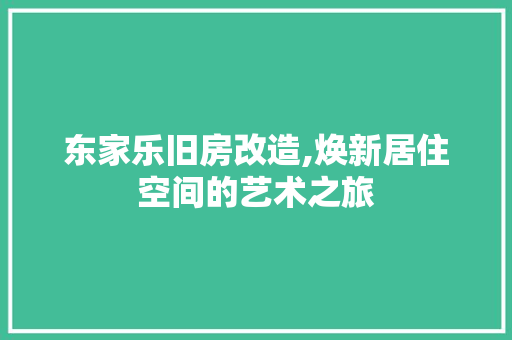 东家乐旧房改造,焕新居住空间的艺术之旅
