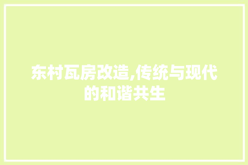 东村瓦房改造,传统与现代的和谐共生
