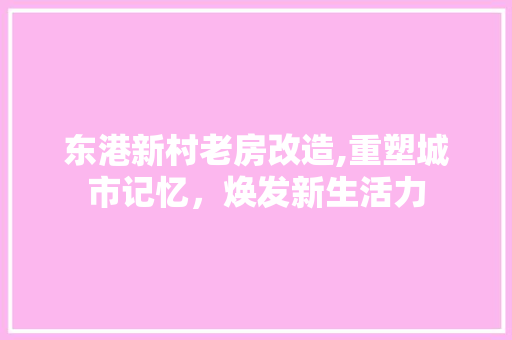 东港新村老房改造,重塑城市记忆，焕发新生活力