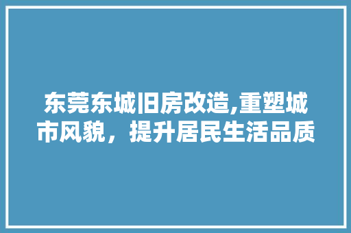 东莞东城旧房改造,重塑城市风貌，提升居民生活品质