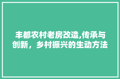 丰都农村老房改造,传承与创新，乡村振兴的生动方法
