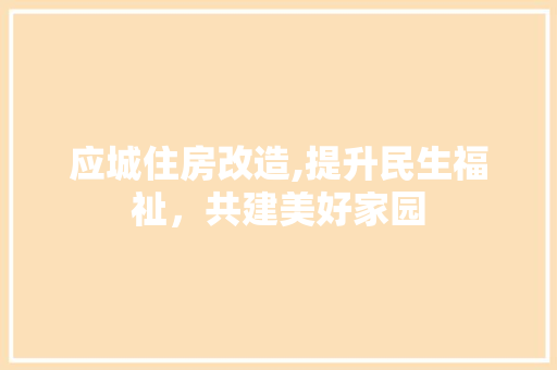 应城住房改造,提升民生福祉，共建美好家园