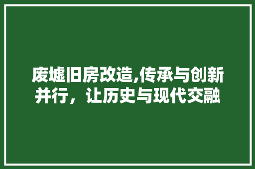 废墟旧房改造,传承与创新并行，让历史与现代交融