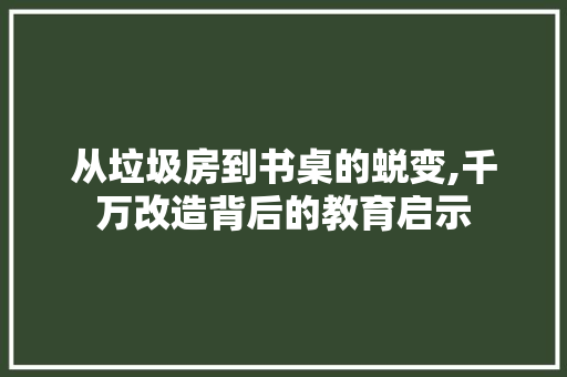 从垃圾房到书桌的蜕变,千万改造背后的教育启示
