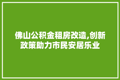 佛山公积金租房改造,创新政策助力市民安居乐业