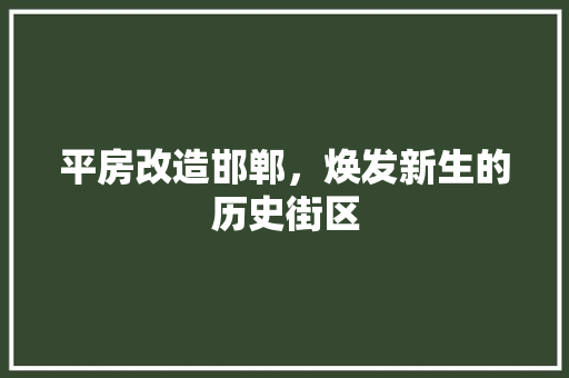 平房改造邯郸，焕发新生的历史街区