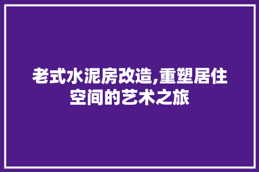 老式水泥房改造,重塑居住空间的艺术之旅