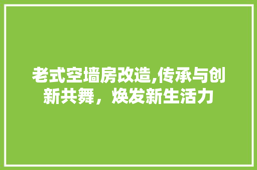 老式空墙房改造,传承与创新共舞，焕发新生活力