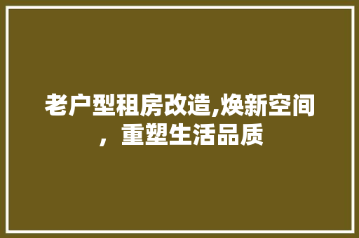 老户型租房改造,焕新空间，重塑生活品质