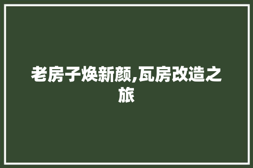 老房子焕新颜,瓦房改造之旅