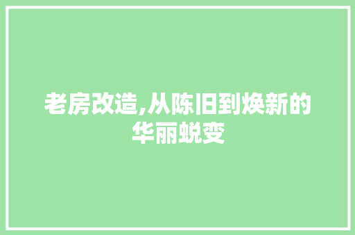 老房改造,从陈旧到焕新的华丽蜕变