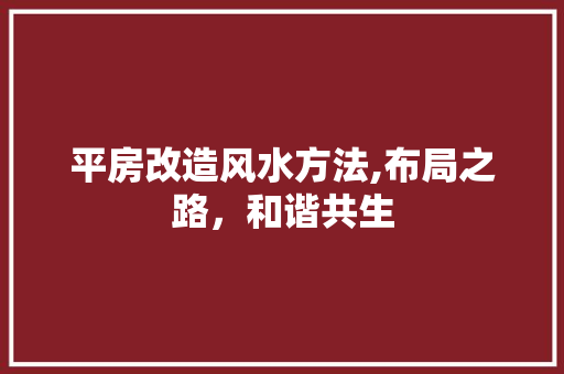 平房改造风水方法,布局之路，和谐共生