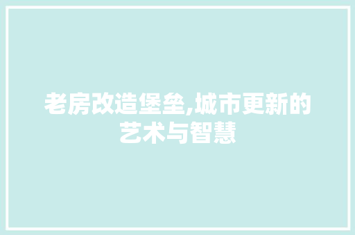 老房改造堡垒,城市更新的艺术与智慧