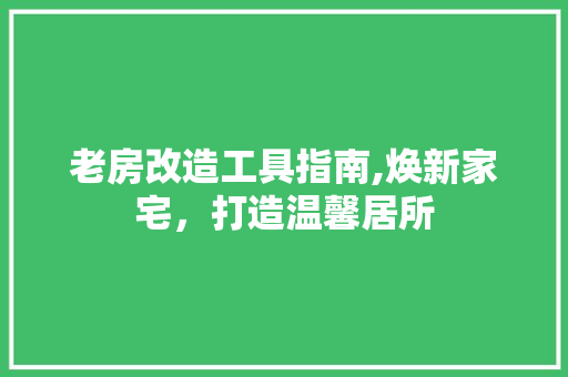 老房改造工具指南,焕新家宅，打造温馨居所