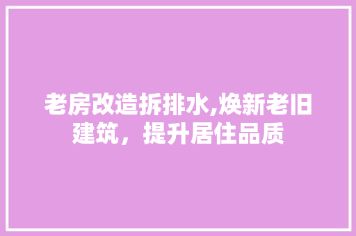老房改造拆排水,焕新老旧建筑，提升居住品质