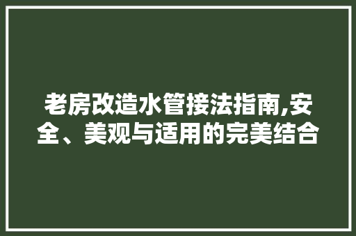 老房改造水管接法指南,安全、美观与适用的完美结合