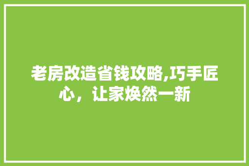 老房改造省钱攻略,巧手匠心，让家焕然一新