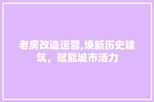 老房改造运营,焕新历史建筑，赋能城市活力