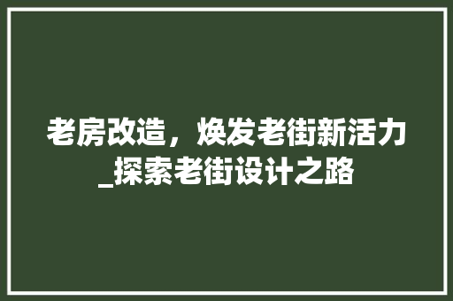 老房改造，焕发老街新活力_探索老街设计之路