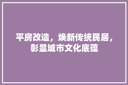 平房改造，焕新传统民居，彰显城市文化底蕴