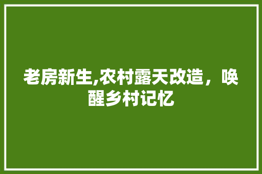 老房新生,农村露天改造，唤醒乡村记忆