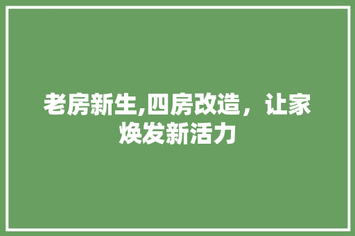 老房新生,四房改造，让家焕发新活力