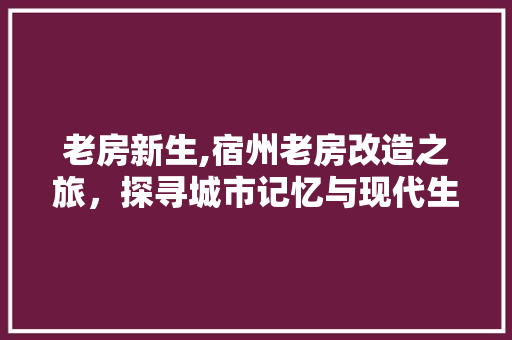 老房新生,宿州老房改造之旅，探寻城市记忆与现代生活的和谐交融