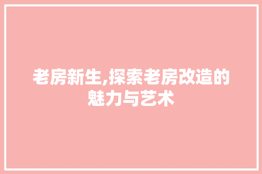 老房新生,探索老房改造的魅力与艺术