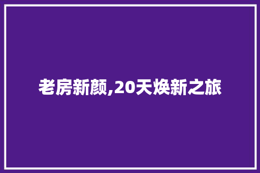 老房新颜,20天焕新之旅
