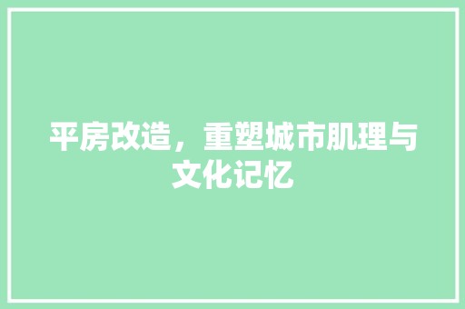 平房改造，重塑城市肌理与文化记忆