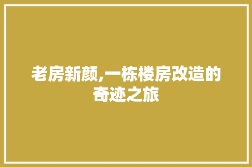 老房新颜,一栋楼房改造的奇迹之旅