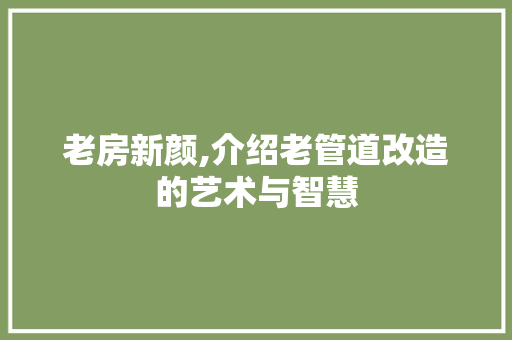 老房新颜,介绍老管道改造的艺术与智慧