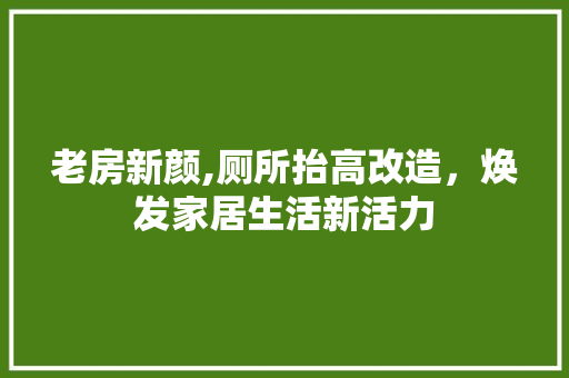 老房新颜,厕所抬高改造，焕发家居生活新活力