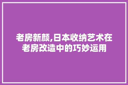 老房新颜,日本收纳艺术在老房改造中的巧妙运用
