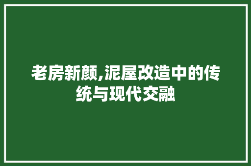 老房新颜,泥屋改造中的传统与现代交融