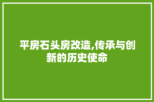 平房石头房改造,传承与创新的历史使命