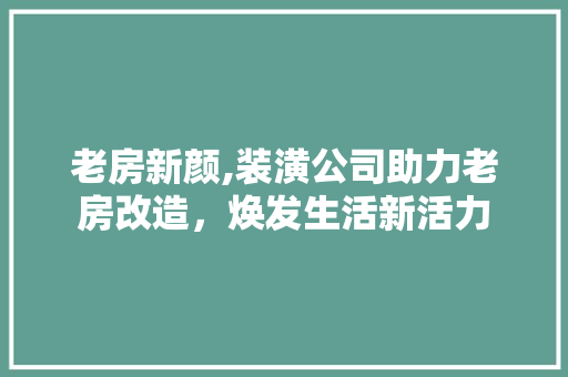 老房新颜,装潢公司助力老房改造，焕发生活新活力
