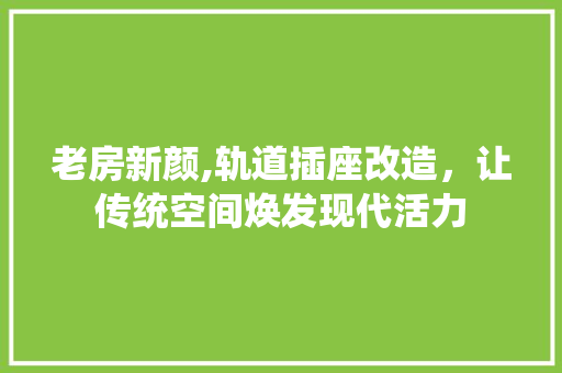 老房新颜,轨道插座改造，让传统空间焕发现代活力