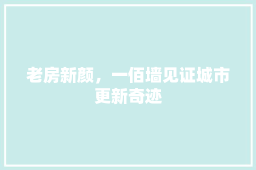老房新颜，一佰墙见证城市更新奇迹