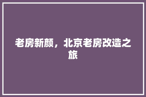 老房新颜，北京老房改造之旅