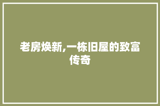老房焕新,一栋旧屋的致富传奇