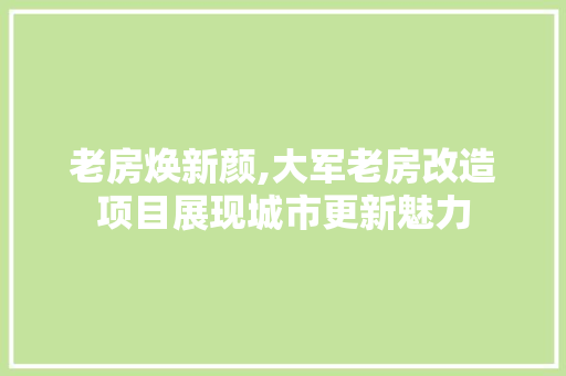 老房焕新颜,大军老房改造项目展现城市更新魅力