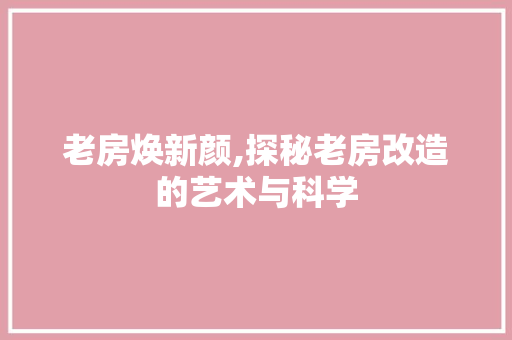 老房焕新颜,探秘老房改造的艺术与科学
