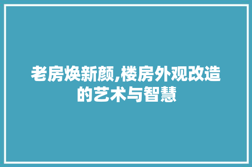 老房焕新颜,楼房外观改造的艺术与智慧