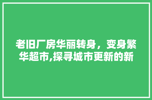 老旧厂房华丽转身，变身繁华超市,探寻城市更新的新路径