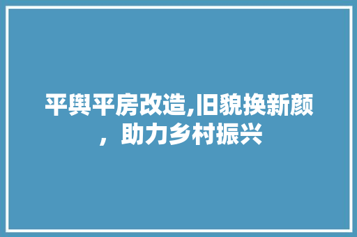 平舆平房改造,旧貌换新颜，助力乡村振兴