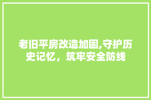 老旧平房改造加固,守护历史记忆，筑牢安全防线