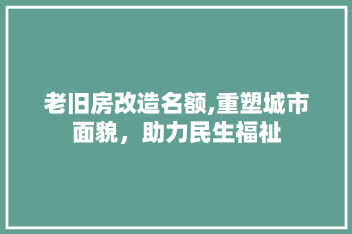 老旧房改造名额,重塑城市面貌，助力民生福祉
