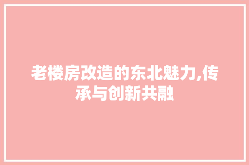 老楼房改造的东北魅力,传承与创新共融