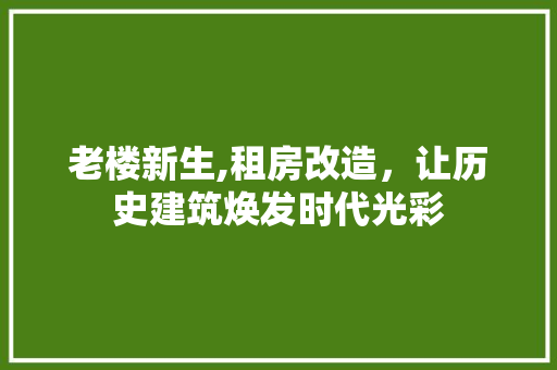 老楼新生,租房改造，让历史建筑焕发时代光彩